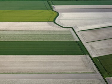 Fotografia intitolato "Polder 19 - Agricul…" da Pierre Piton, Opera d'arte originale, Fotografia digitale