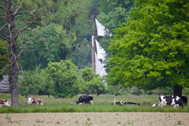 Fotografie getiteld "Armada : Voiles et…" door Pierre-Yves Rospabé, Origineel Kunstwerk, Digitale fotografie