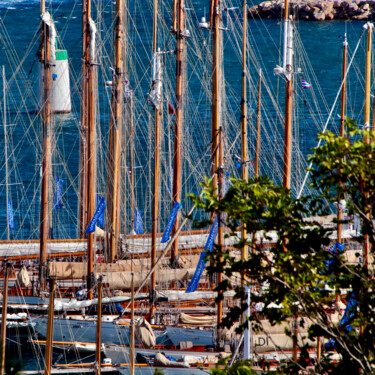 Photographie intitulée "Cannes, Foret de ma…" par Pierre-Yves Rospabé, Œuvre d'art originale, Photographie numérique