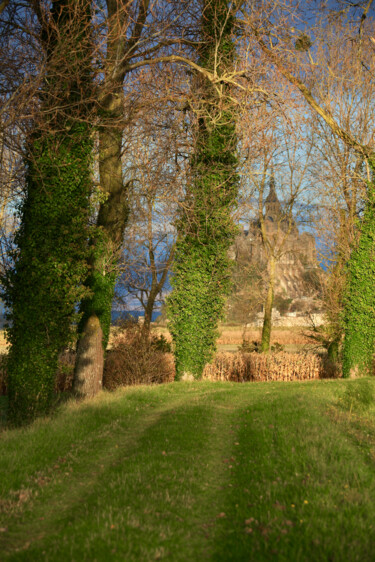Fotografia intitolato "Chemin du Mont-Sain…" da Pierre-Yves Rospabé, Opera d'arte originale, Fotografia digitale