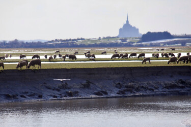 Fotografia intitolato "Mont Saint-Michel,…" da Pierre-Yves Rospabé, Opera d'arte originale, Fotografia digitale