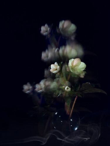 Fotografia intitolato "Dancing Flowers" da Pietro Cenini, Opera d'arte originale, Fotografia digitale
