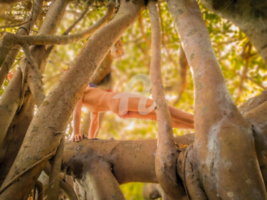 Photographie intitulée "A tree and a man wi…" par Piggly Giggly, Œuvre d'art originale, Photographie numérique