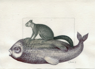 Dessin intitulée "Le Aye-aye" par Patrick Jannin, Œuvre d'art originale, Autre