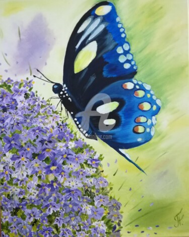 Schilderij getiteld "Butterfly, flower,…" door Plakhotnyk Nataliia, Origineel Kunstwerk, Olie