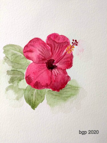 绘画 标题为“Hibiscus” 由Bernadette Grelier, 原创艺术品, 水彩