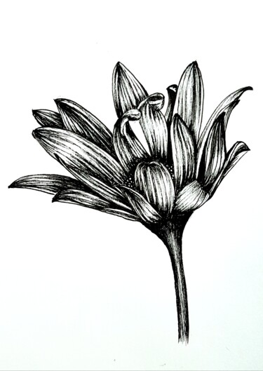 Zeichnungen mit dem Titel "Ink Flower" von Polina Turgunova, Original-Kunstwerk, Tinte