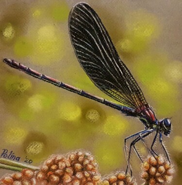 Dessin intitulée "Dragonfly" par Polina Turgunova, Œuvre d'art originale, Pastel