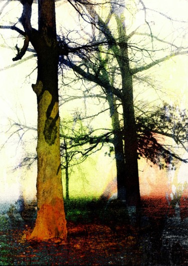 Digital Arts titled "Trees In The Fog #2" by Robert Grubbs, Original Artwork, Digital Painting