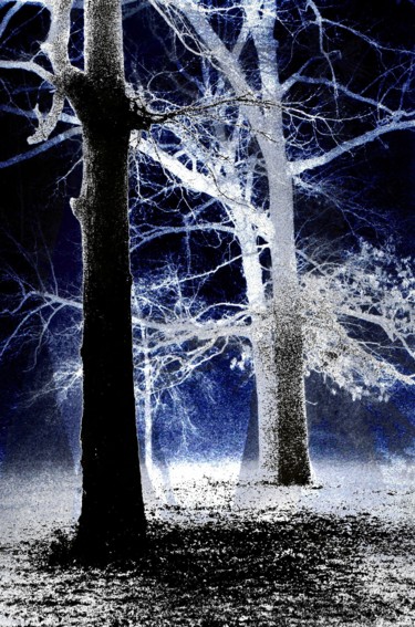 Photography titled "Trees In The Fog (G…" by Robert Grubbs, Original Artwork, Manipulated Photography