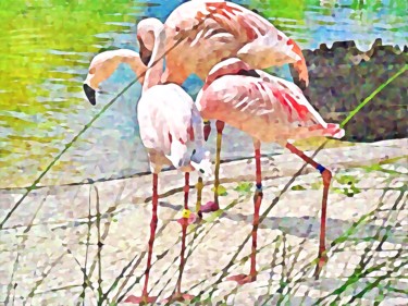 Digital Arts titled "Flamingo Dance" by Robert Grubbs, Original Artwork, 2D Digital Work
