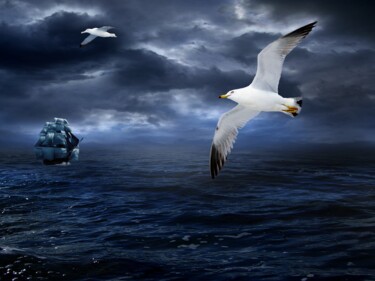 Arte digitale intitolato "Seagull over the oc…" da Radiy Bohem, Opera d'arte originale, Pittura digitale