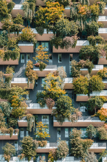 Fotografie getiteld "Vertical Forest In…" door Radu Bercan, Origineel Kunstwerk, Digitale fotografie