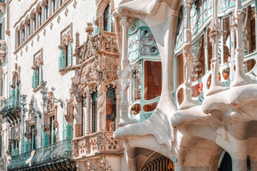 Fotografia intitolato "Casa Batllo, Antoni…" da Radu Bercan, Opera d'arte originale, Fotografia digitale