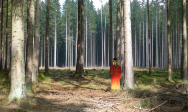 Fotografía titulada "Gatekeeper" por Raimo Bergt, Obra de arte original, Fotografía manipulada