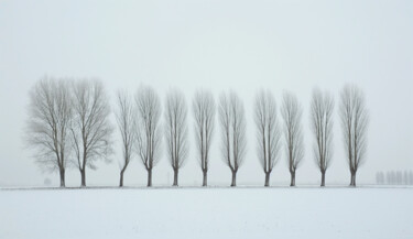 Grafika cyfrowa / sztuka generowana cyfrowo zatytułowany „Winter landcsape 3” autorstwa Ramona Gliga, Oryginalna praca, Kola…