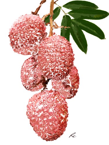 Arte digital titulada "Litchi chinensis" por Rc Digipainter436, Obra de arte original, Pintura Digital