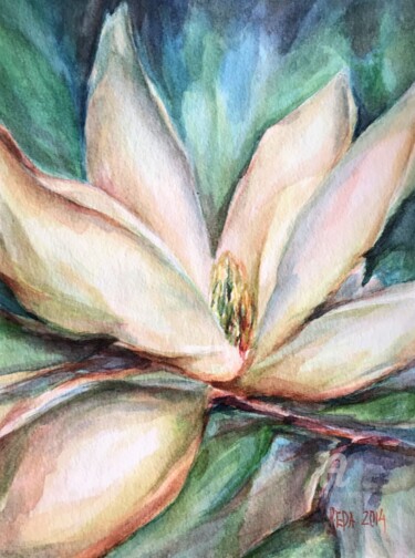 제목이 ""Magnolia"#3"인 미술작품 Reda Pinchera로, 원작, 수채화