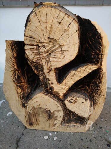 Скульптура под названием "Embryo" - Reiner Poser, Подлинное произведение искусства, Дерево