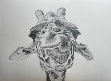 Σχέδιο με τίτλο "Girafe" από Rémi Capobianco, Αυθεντικά έργα τέχνης, Γραφίτης