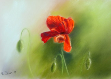 Dibujo titulada "Mohnblume" por Renate Dohr, Obra de arte original, Pastel