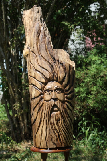 Scultura intitolato "Wood Spirit" da Renaud Igor Vivot, Opera d'arte originale, Legno