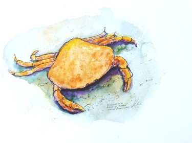 Dessin intitulée "Carcasse de crabe s…" par René Blanchet, Œuvre d'art originale, Encre