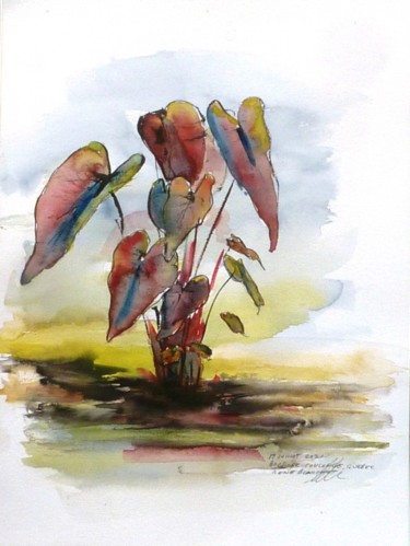 Drawing titled "Plante aquatique du…" by René Blanchet, Original Artwork, Ink