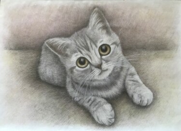 Zeichnungen mit dem Titel "Cute cat" von Michael Reshetniak, Original-Kunstwerk, Conté-Buntstifte