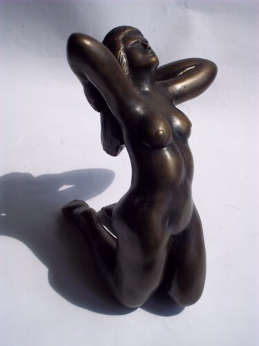 Rzeźba zatytułowany „Escultura sculpture…” autorstwa Ricardo Navarro, Oryginalna praca, Metale