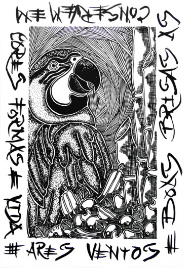 Tekening getiteld "ARARAS / MACAWS" door Ricaru Araujo, Origineel Kunstwerk, Inkt