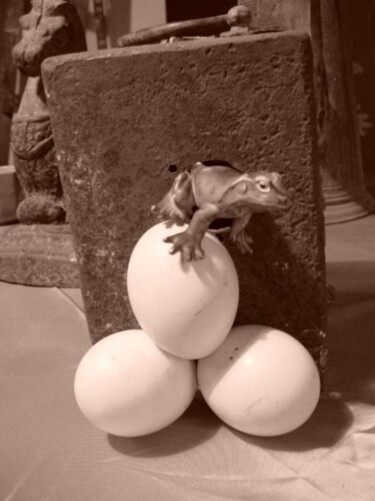 Fotografía titulada "Frog & eggs" por Rob Arbouw, Obra de arte original