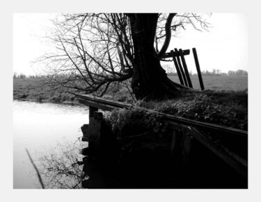 Photography titled "Tree-water" by Rob Arbouw, Original Artwork