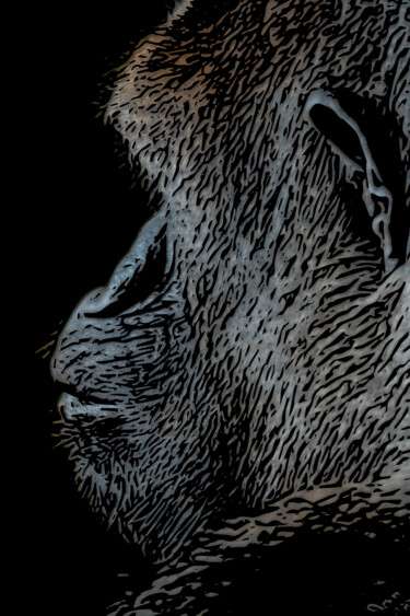 Цифровое искусство под названием "Gorilla in Profile" - Robbi Ling Montgomery, Подлинное произведение искусства, Цифровая фо…