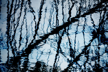 Digital Arts titled "The Woods Reflected" by Robbi Ling Montgomery, Original Artwork, 2D Digital Work