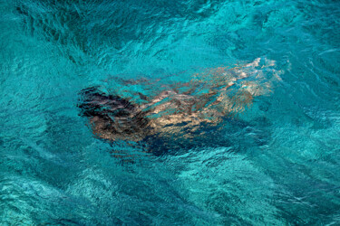 Fotografia zatytułowany „The Mermaid” autorstwa Roberto Manetta, Oryginalna praca, Fotografia cyfrowa