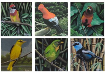 Pintura intitulada "SERIE: PÁJAROS DEL…" por Roberto Pittino, Obras de arte originais, Aquarela Montado em Cartão