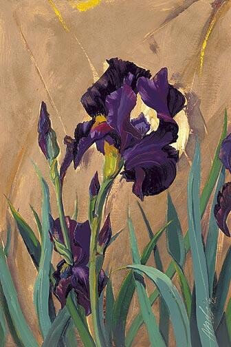 Drawing titled "Iris I" by Robin Mols, Original Artwork