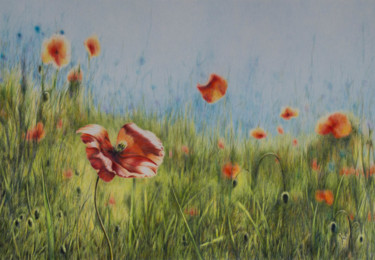 Painting titled "Mohn" by Ronald Firla, Original Artwork, Conté