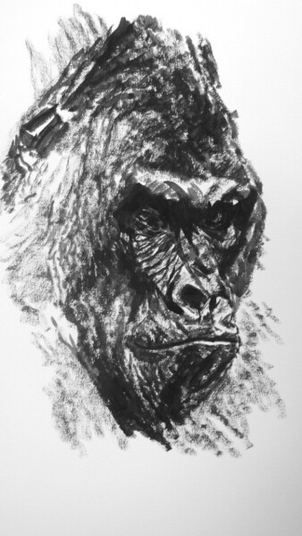 Dessin intitulée "gorille" par Roland Gschwind, Œuvre d'art originale, Encre