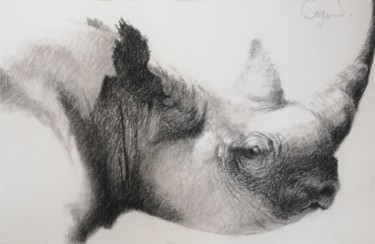 "Rhino" başlıklı Resim Roland Guyomard tarafından, Orijinal sanat, Karakalem