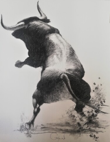 Drawing titled "Taureau" by Roland Guyomard, Original Artwork, Charcoal