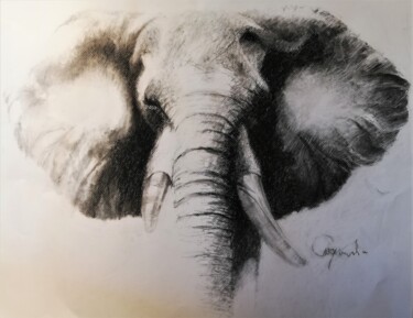 Zeichnungen mit dem Titel "Elephant" von Roland Guyomard, Original-Kunstwerk, Kohle