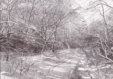Σχέδιο με τίτλο "В зимнем лесу" από Роман Малышев, Αυθεντικά έργα τέχνης, Μολύβι