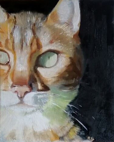 Malarstwo zatytułowany „Cat's eyes” autorstwa Rosemary Burn, Oryginalna praca, Olej
