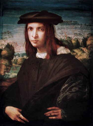 Painting titled "Portrait d'un jeune…" by Rosso Fiorentino, Original Artwork, Oil