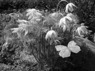 Fotografia intitulada "Spring Garden 2" por Roxana Ferllini, Obras de arte originais, Fotografia Manipulada