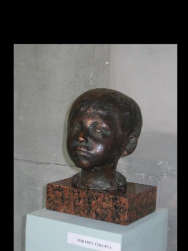 Sculpture intitulée "head" par Ryszard Piotrowski, Œuvre d'art originale, Métaux