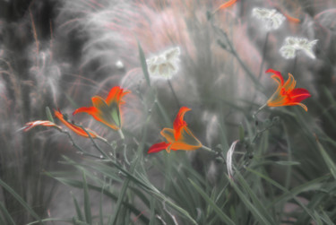 Photographie intitulée "Les fleurs de l' ame" par Michel Guillaumeau, Œuvre d'art originale, Photographie numérique