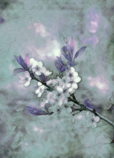 Fotografia intitolato "Cerisier en fleurs…" da Michel Guillaumeau, Opera d'arte originale, Fotografia digitale